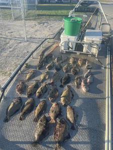 Catch of the day in Aransas Pass: Flounder